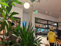 -Wagas沃歌斯(枫蓝国际店)