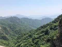-大岭沟猕猴桃谷风景区