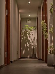 -芳香乐府SPA·五行芳疗
