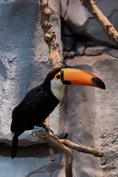 -Zoolung Zoolung动物主题公园(海信广场店)