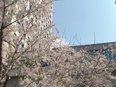 -兴业太古汇·停车场