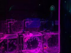 -沈阳海洋探索中心