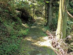 -庐山恋影院(河西路店)