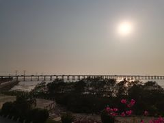 -宝安西湾红树林湿地公园