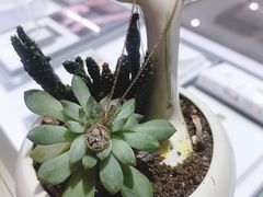 -上海颛桥万达广场