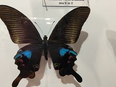 -吉林省自然博物馆