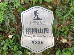 -梧桐山风景名胜区