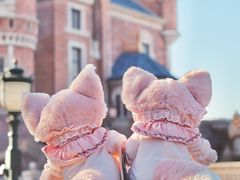 -上海迪士尼度假区