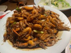 -老头儿油爆虾(金鹰世界店)