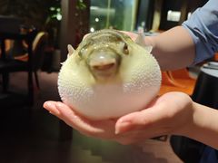 -肆月河豚·淮扬菜·湘菜(华天店)