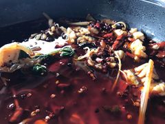 -重庆乌鱼庄·龙滋鲜(青羊大道店)