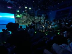 -芜湖新华联大白鲸海洋公园