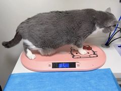 -达爱动物医院·犬猫分区·CT·复杂眼科(远洋山水分院)