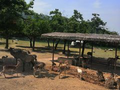 -西安秦岭野生动物园