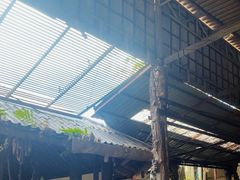 -绿光森林餐厅
