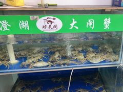 -阳澄湖大闸蟹·琼灵阁牌品牌连锁(吴中总店)