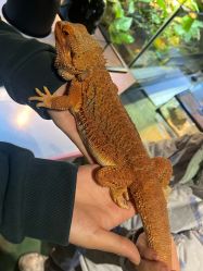 -酷嗒动物文化乐园(cutezoo西溪乐天城店)