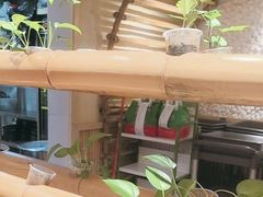 -椰夫人·养生椰子鸡(金沙洲永旺店)