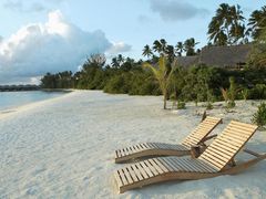 -朝郡酒家·粤菜(燕大星苑店)