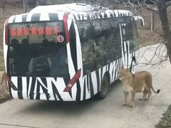 -西安秦岭野生动物园