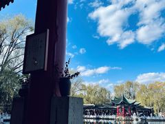 -MAP CHA普洱茶馆(翠湖店)
