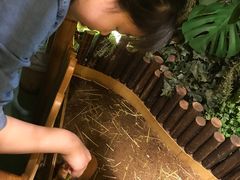 -藦茜花园宠物主题亲子互动体验馆(国顺东路店)
