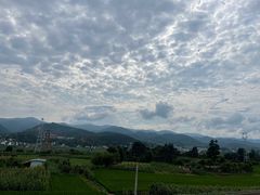 -巍山古城