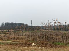 -梁子湖东篱老屋生态庄园