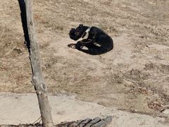 -青藏高原野生动物园