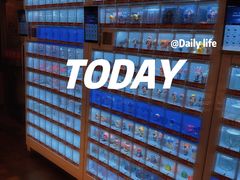 -枫花园汽车电影院(朝阳公园店)