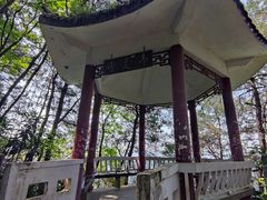 -铁山坪森林公园