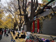 -四川大学(华西校区)