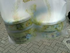 -珍妮曲奇聪明小熊(上环店)