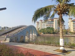 -万绿园