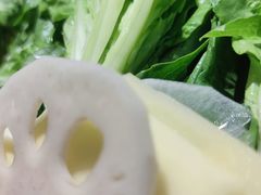 -守柴炉烤鸭(科华中路王府井店)