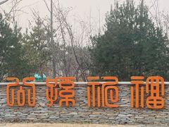 -东郊湿地公园