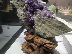 -湖南省地质博物馆