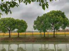 -嘉北郊野公园