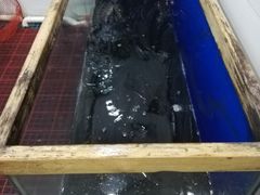 -活鱼馆(宜兴埠店)