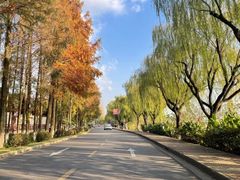 -太阳岛度假酒店