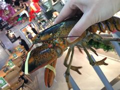 -超级物种·波龙工坊(国贸店)