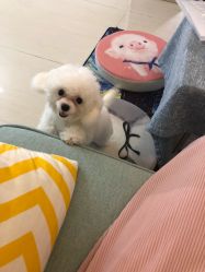 -肌理言健康美肌驻颜所
