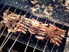 -水韵湾生态农庄