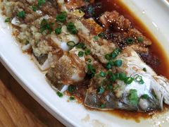 -喜上喜鸡煲翅(吉大店)