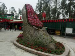 -揭东万竹园旅游景区