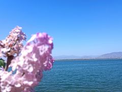 -观澜小洱海