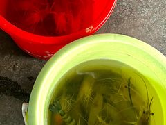 -小象钓虾·营地烧烤(洛溪店)