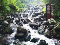 -凤凰山国家森林公园