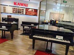 -柏斯琴行(汾阳店)