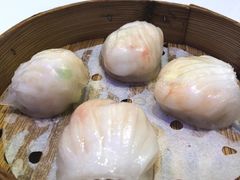 -圣丰盛宴酒家(东城店)